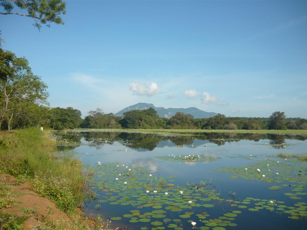 Sunrise Holiday Resort Habarana Exterior foto
